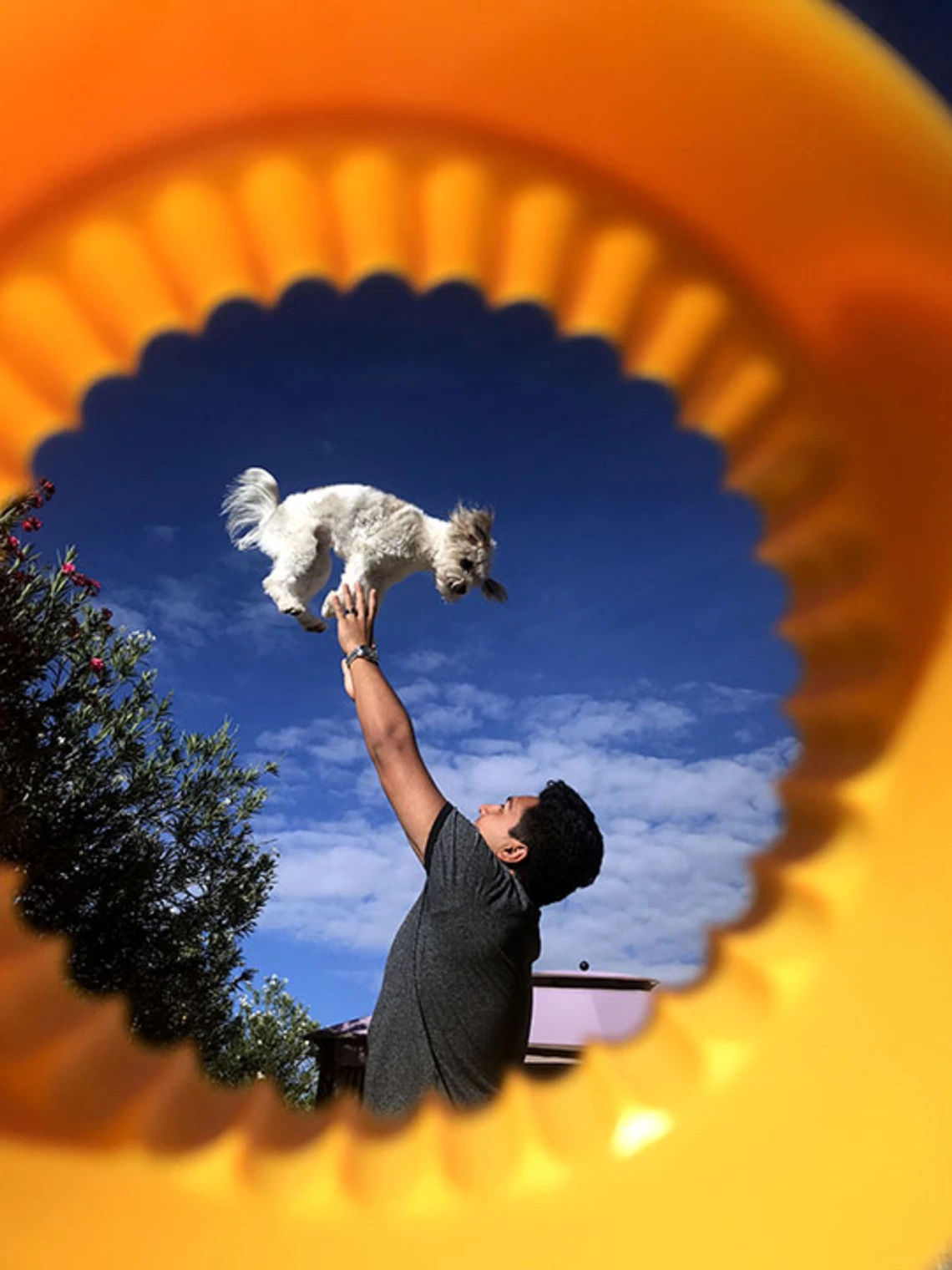 Luis Alan Gonzalez, 21, throws his dog in the air
