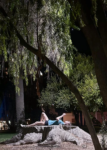 A student uses phone while atop a tree stump