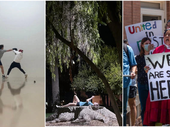  A collage of three photos that won a photojournalism award