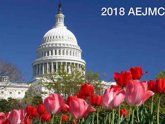 U.S. Capitol with flowers