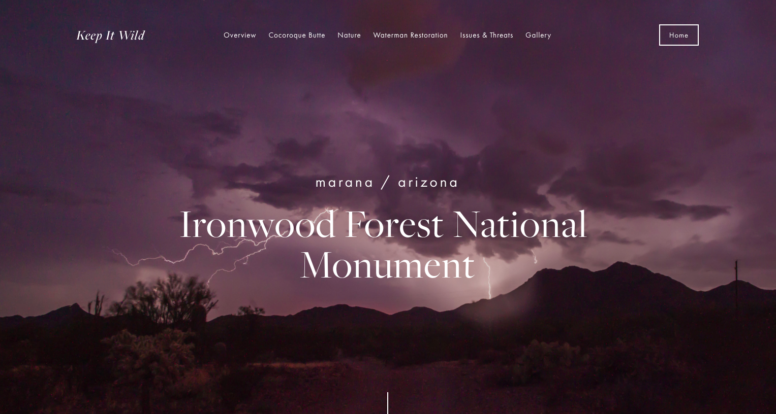 Ironwood Forest project by Lauren Trench