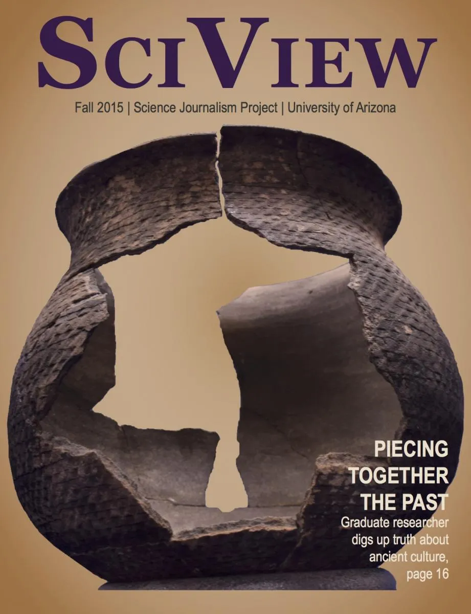 2015 cover