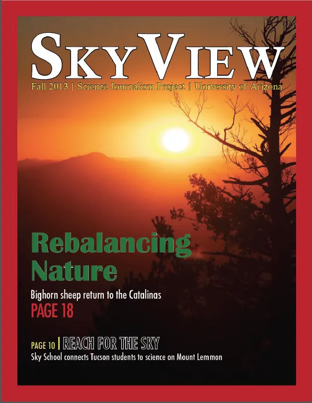 2013 cover