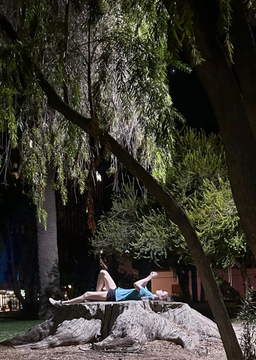 A student uses phone while atop a tree stump