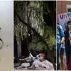  A collage of three photos that won a photojournalism award
